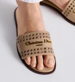 D-Lane Slide - Image 3